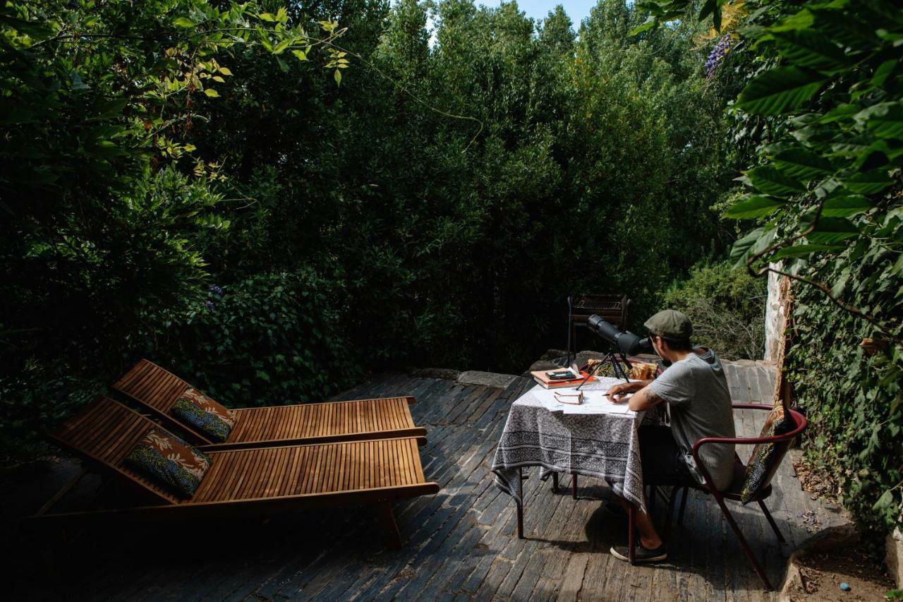 Casa Agricola Da Levada Eco Village Вила-Реал Экстерьер фото